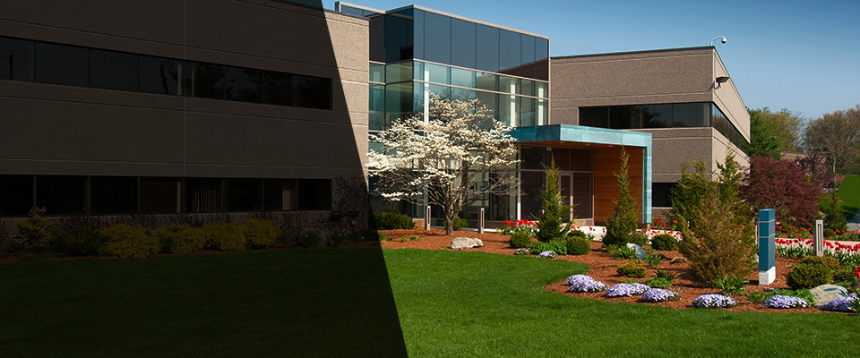 Gold Beach Landscapers