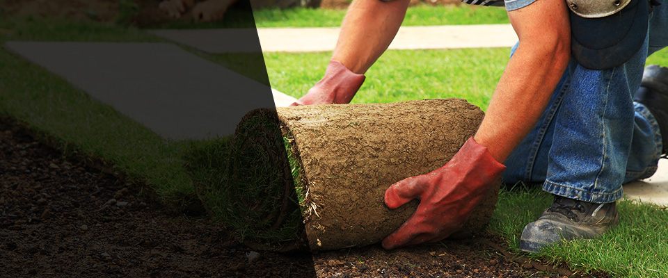 Gold Beach Landscapers